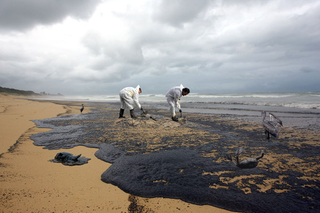 Shell executives were disgusted by the flamboyant, over-the-top act put on by contaminated wildlife Monday.